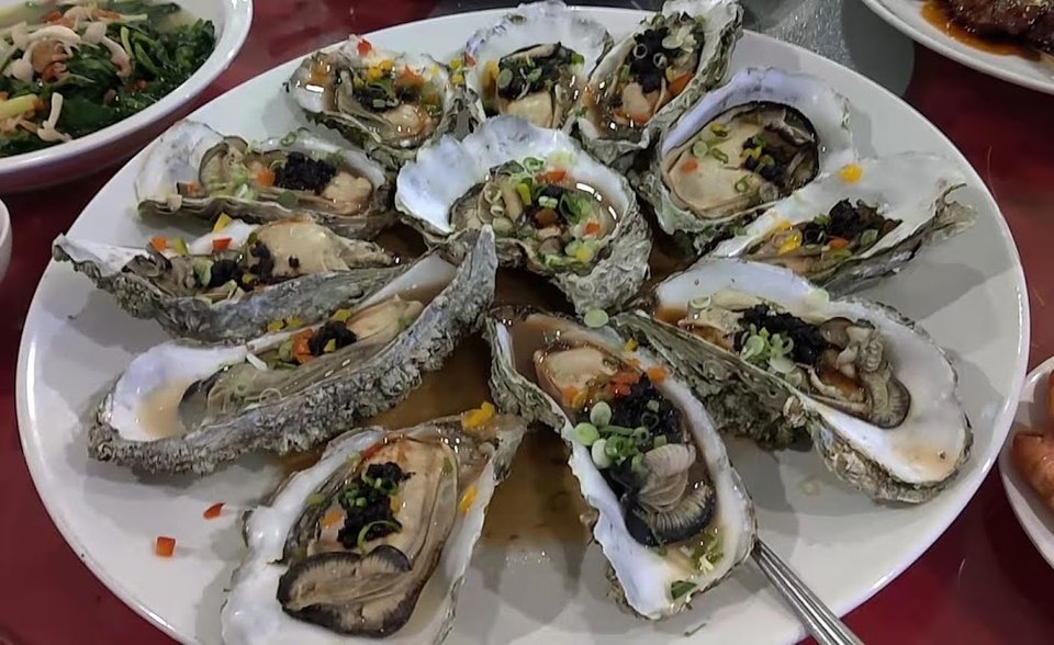 Steamed Live Oyster